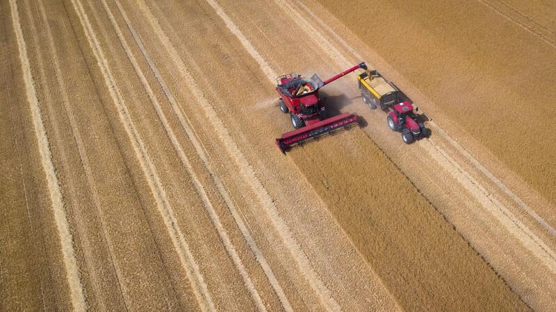 Regenwetter und schwieriger Pflanzenschutz bereitet den Landwirten Probleme, berichtet der Bauernverband. (Archivbild)