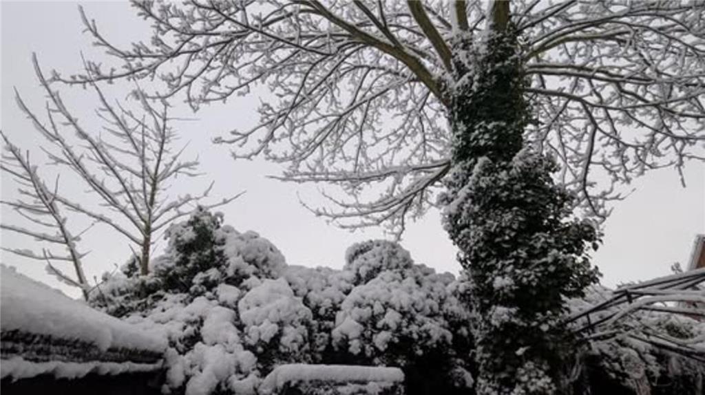 Regina Frischkorn zeigt uns das verschneite Horneburg