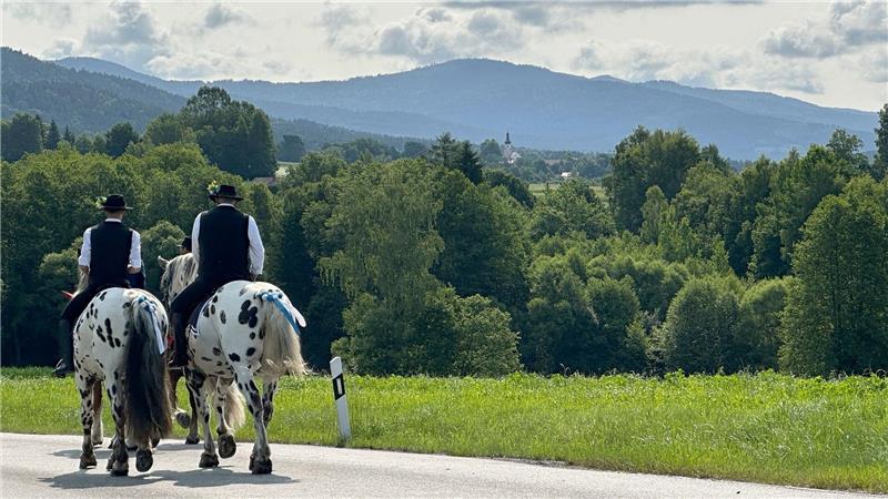 Reiter nehmen am Kötztinger Pfingstritt teil. Die Bittprozession geht auf ein Gelöbnis aus dem frühen 15. Jahrhundert zurück. 