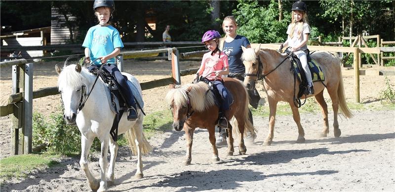 Reitunterricht von klein auf an mit Lehrerin Jody Benidt (13): Lilli Meisel (6) mit ihrem Pony-Mix Ginger, Milla Jacobsgaard (6) mit dem Shetlandpony Peer, Lill Jorde (8) mit dem Pony-Mix Honey (von links) reiten im Ponyhof Meyers Park. Fot