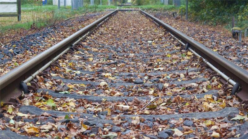 „Relativ gute Chancen“: Auf den Gleisen bei Waffensen könnten zwischen Rotenburg und Bremervörde irgendwann nicht nur Güter-, sondern auch wieder Personenzüge fahren.