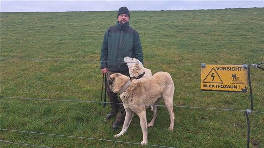 René Krüger mit zwei seiner Herdenschutzhunde auf dem Deich bei Wersabe.