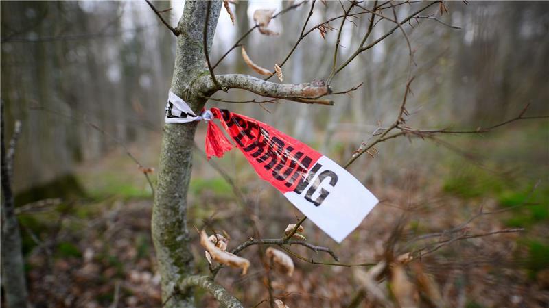 Reste einer Polizeiabsperrung sind in dem betroffenen Waldstück zu sehen.
