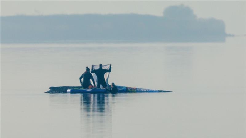 Retter sind am Morgen in der Nähe des Buckelwal vor der Insel Poel und legen Tücher auf dem Walrücken aus.