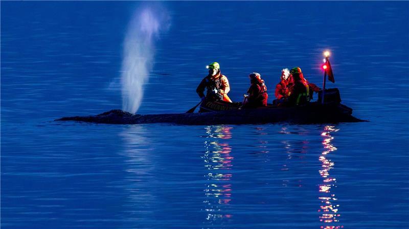 Rettungskräfte versuchen am Abend einen an der Ostseeküste am Timmendorfer Strand gestrandeten Wal wieder in tiefes Wasser zubringen.