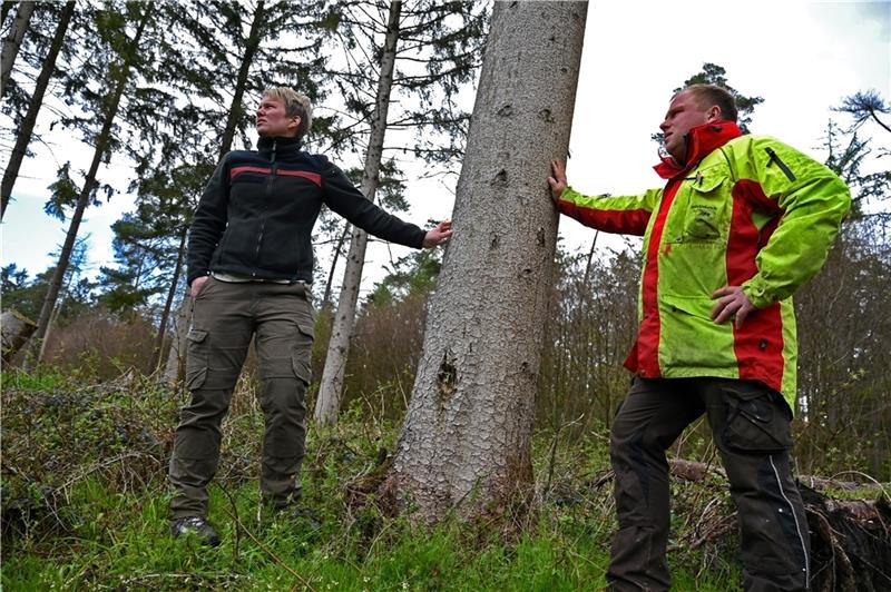 Revierleiterin Melanie Offermanns und ihr Kollege Robin Reck schauen sich die Baumkronen an, um kranke Bäume zu finden. Fotos: Ahrens