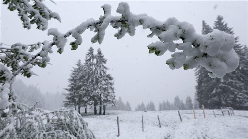 Riedbergpass: Schnee in Bayerns Höhenlagen – winterliche Szenerie auf etwa 1200 Metern Höhe