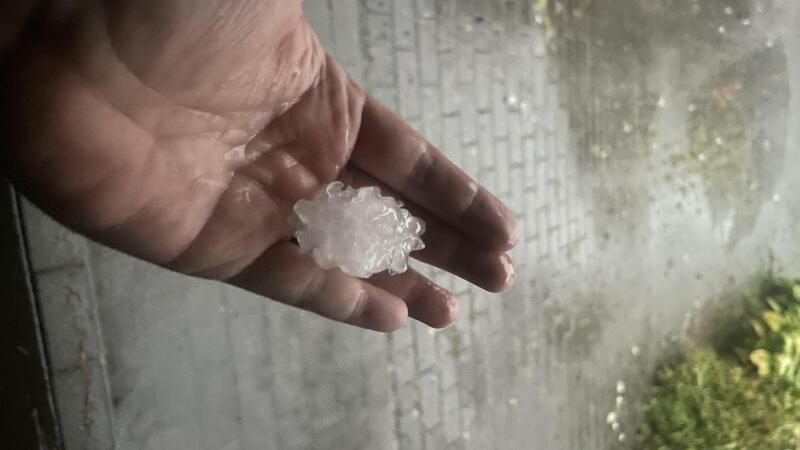 Schwere Gewitter im Kreis Stade – Unfälle im Nachbarkreis Riesige Hagelkörner sind Mittwochabend in Frankenmoor heruntergekommen. Dank an TAGEBLATT-Leserin Svenja Poppe für das Foto.