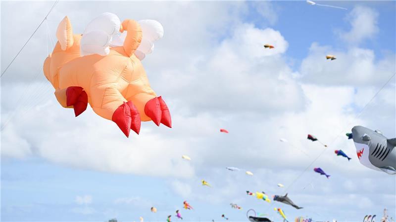 Riesige Tierfiguren als Drachen schweben beim Drachenfest am Himmel.
