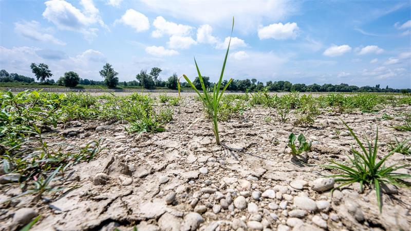Dürres Deutschland: Wieso es derzeit so trocken ist Rissiger Boden statt fließendem Strom: die Donau schon Mitte Juli.