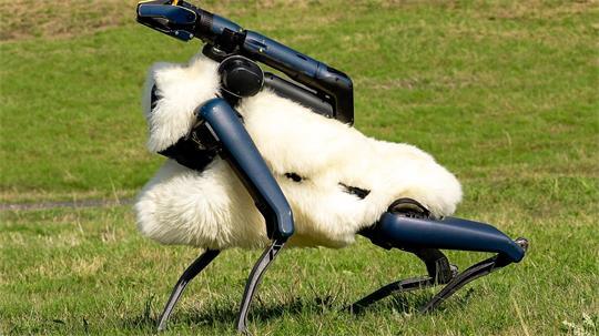 Robo-Schaf auf der Halde Hoheward im Ruhrgebiet