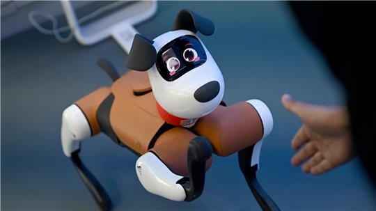 Roboter-Hunde tauchen bereits gelegentlich im Straßenbild chinesischer Großstädte auf. 
