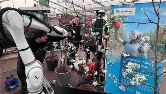 Robots in Orchards: The Future of Fruit Harvesting