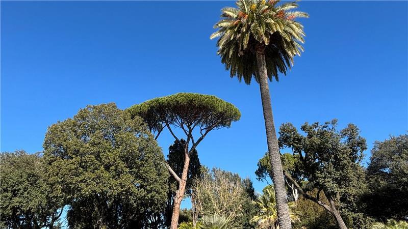 Rom verfügt über eine große botanische Vielfalt.