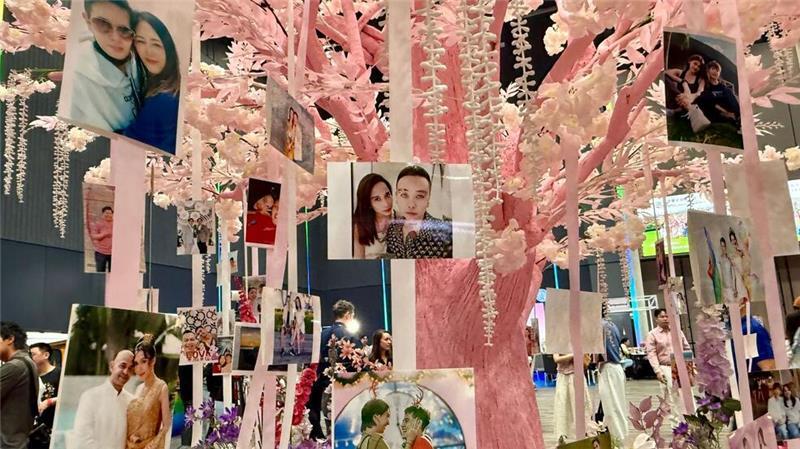 Queeres Liebesfest: Thailand feiert die „Ehe für alle“ Romantische Deko: An einem rosa Liebesbaum waren Fotos queerer Paare zu sehen.