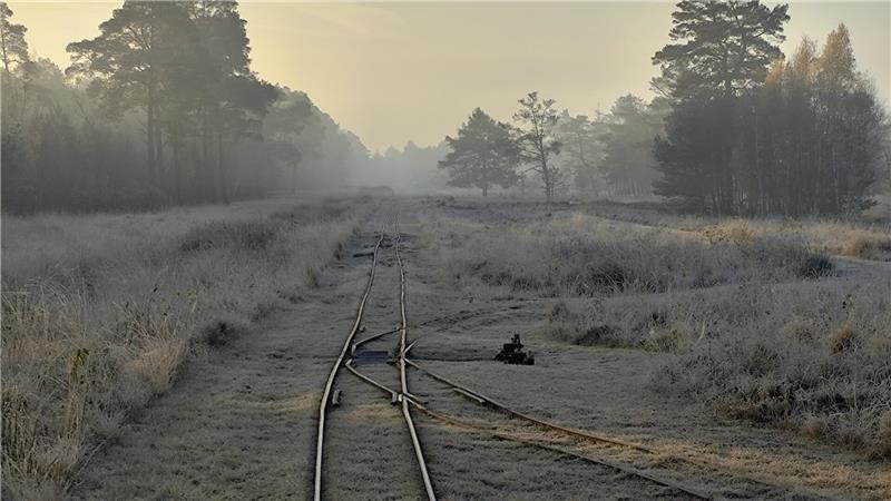 Romantische Impressionen von der Moorbahn-Strecke durch das Tister Moor.