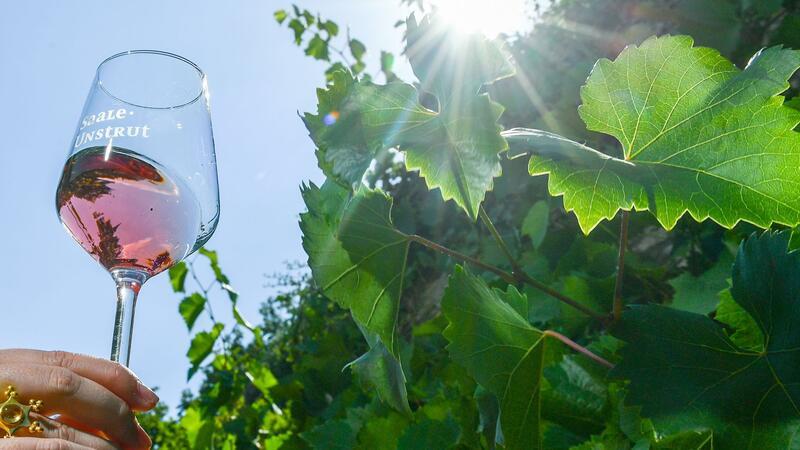 Diese Weine werden immer beliebter Rosé-Wein wird gerne getrunken.