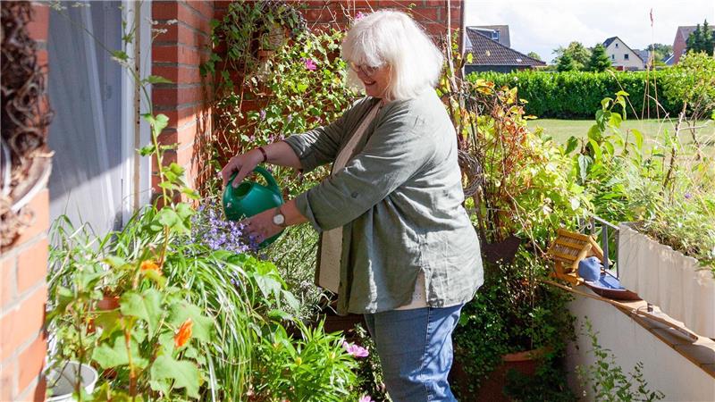 Rosen, Baumspinat, Lavendel: Sechs Quadratmeter Balkonfläche reichen Sabine Wolters, um in ihrer Nordholzer Mietwohnung ihrer Leidenschaft fürs Gärtnern nachzugehen. Erlaubt ist, was Nachbarn nicht stört. Foto: Heike Leuschner