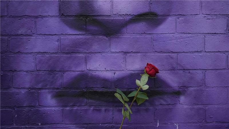 Bilder des Tages Rosen für Ozzy