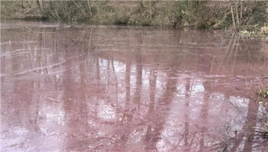 Rote Färbung an der Oberfläche des Horstsees verunsicherte Spaziergänger und Angler.
