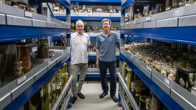 Rund 1,2 Millionen Objekte gehören zur Sammlung des Museums.