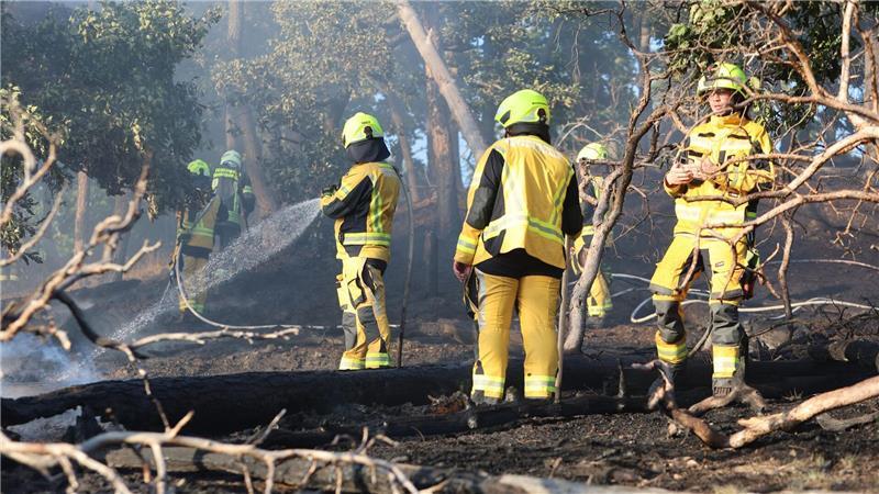 Rund 150 Einsatzkräfte waren zwischenzeitlich vor Ort.
