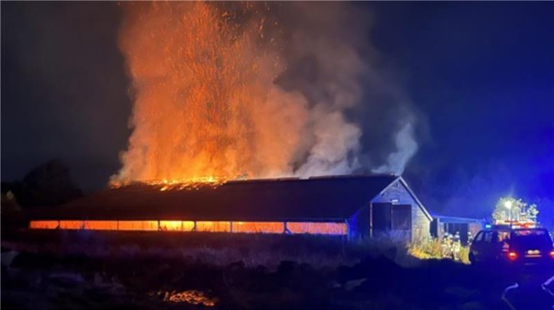 Rund 200.000 Euro Schaden entstanden im Oktober 2024 beim Brand einer Halle in Neulandermoor.