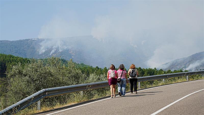 Rund 2.200 Hektar Pinienwald wurden verwüstet.