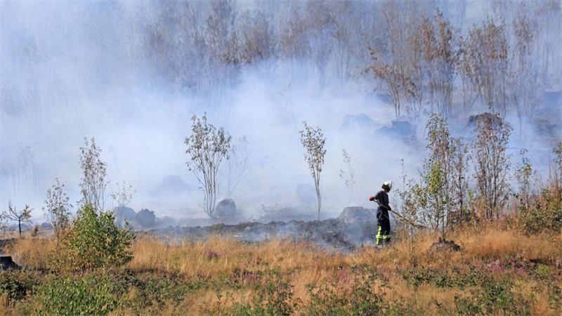 Waldbrand im Harz könnte Einsatzkräfte Tage beschäftigen Rund 250 Einsatzkräfte kämpfen bei Benneckenstein gegen einen Waldbrand.