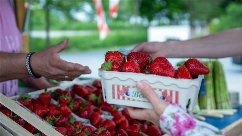 Rund 3,3 Kilo Erdbeeren essen die Menschen in Deutschland durchschnittlich im Jahr. (Archivbild)