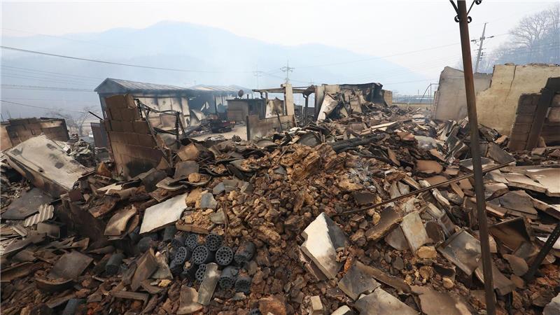 Zahl der Toten bei Waldbränden in Südkorea steigt auf 27 Rund 37.000 Anwohner mussten bereits wegen der Waldbrände evakuiert werden.