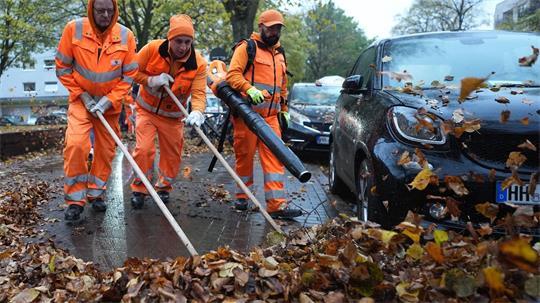 Rund 590 Männer und Frauen sind im Herbst 2026 auf Hamburgs Straßen unterwegs, um das Herbstlaub einzusammeln. (Archivbild)