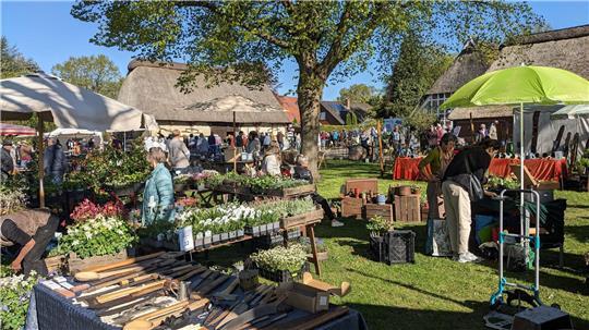 Rund 60 Aussteller präsentieren sich diesmal auf dem Beekhoff.