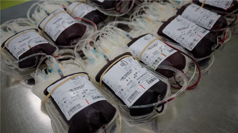 „Ein kleiner Piks“ - Junge Blutspender werden gesucht Rund drei Millionen Menschen haben 2024 in Deutschland Blut gespendet, im Schnitt jeweils rund zweimal.