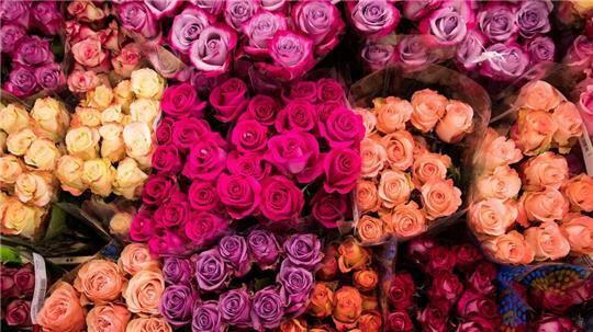 Rund um den Valentinstag werden viele Blumensträuße verkauft.