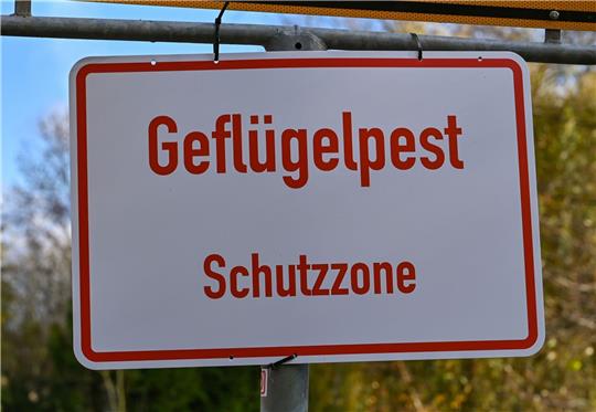 Rund um die Gemeinde Reeßum gilt nun eine Schutzzone mit einem Radius von zehn Kilometern. Foto: dpa- Bildfunk