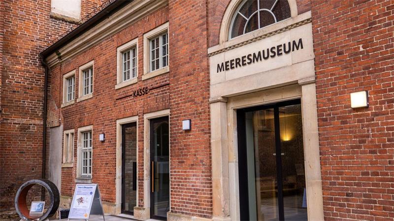 Rund vier Monate nach der Bergung des vor der Ostseeküste geborgenen Buckelwals „Timmy“ sieht sich das Deutsche Meeresmuseum in Stralsund immer noch Anfeindungen ausgesetzt. (Archivbild)