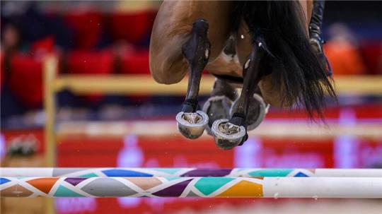 Russische und belarussische Reiter werden bei Olympia in Paris nicht starten.