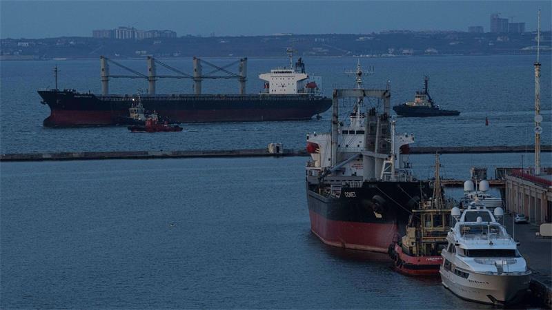 Russland wirft der Ukraine vor, militärische Güter in Getreidefrachtern transportieren zu lassen. (Archivbild)