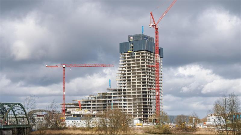 SPD-Fraktionschef Dirk Kienscherf sieht nur geringe Chancen für einen Einzug des Naturkundemuseums in den Elbtower. (Archivbild)