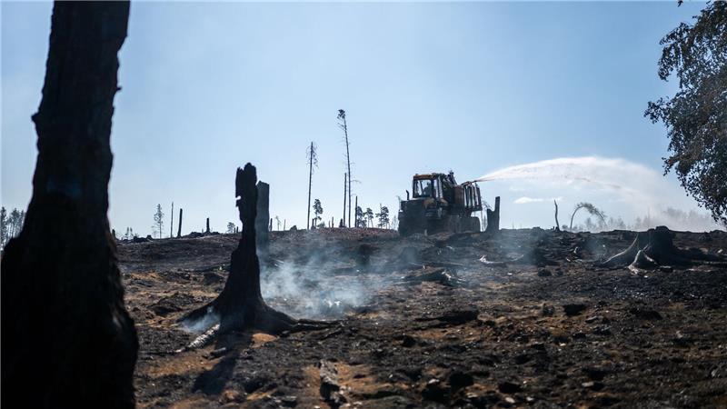Saalfelder Höhe, Thüringen: Die Feuerwehr bekämpft den Waldbrand bei Gösselsdorf.