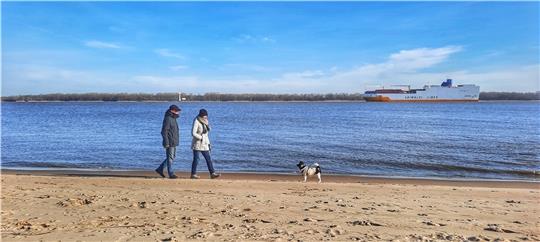 Sabine Fröhlich und Klaus Lambers sind für ein paar Tage aus dem Münsterland angereist. Sie machen in Stade mit Hund Flora Urlaub. Am ersten Tag hingen noch dunkle Wolken über der Stadt. „Da ist nicht mal Stade schön“, sagt Fröhlich. Dann s