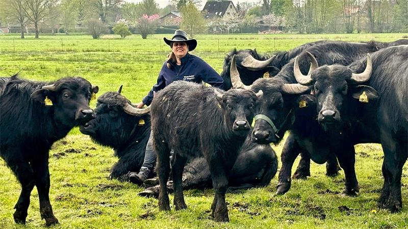Sabine Rademacher inmitten ihrer Wasserbüffel-Herde.