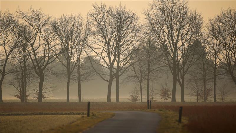 Sahara-Staub kommt auch in Deutschland an. (Archivbild) 