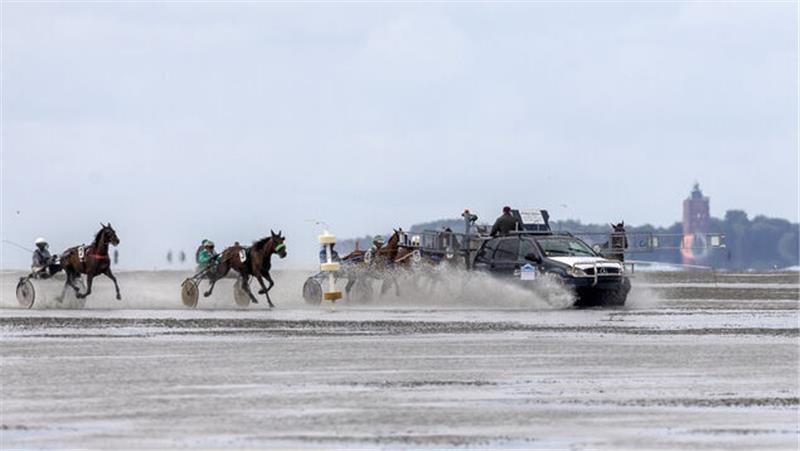Das erwartet die Besucher beim Duhner Wattrennen 2023 in Cuxhaven Sammeln der Traber vor dem Start. Im Hintergrund die Insel Neuwerk. Foto: Adelmann
