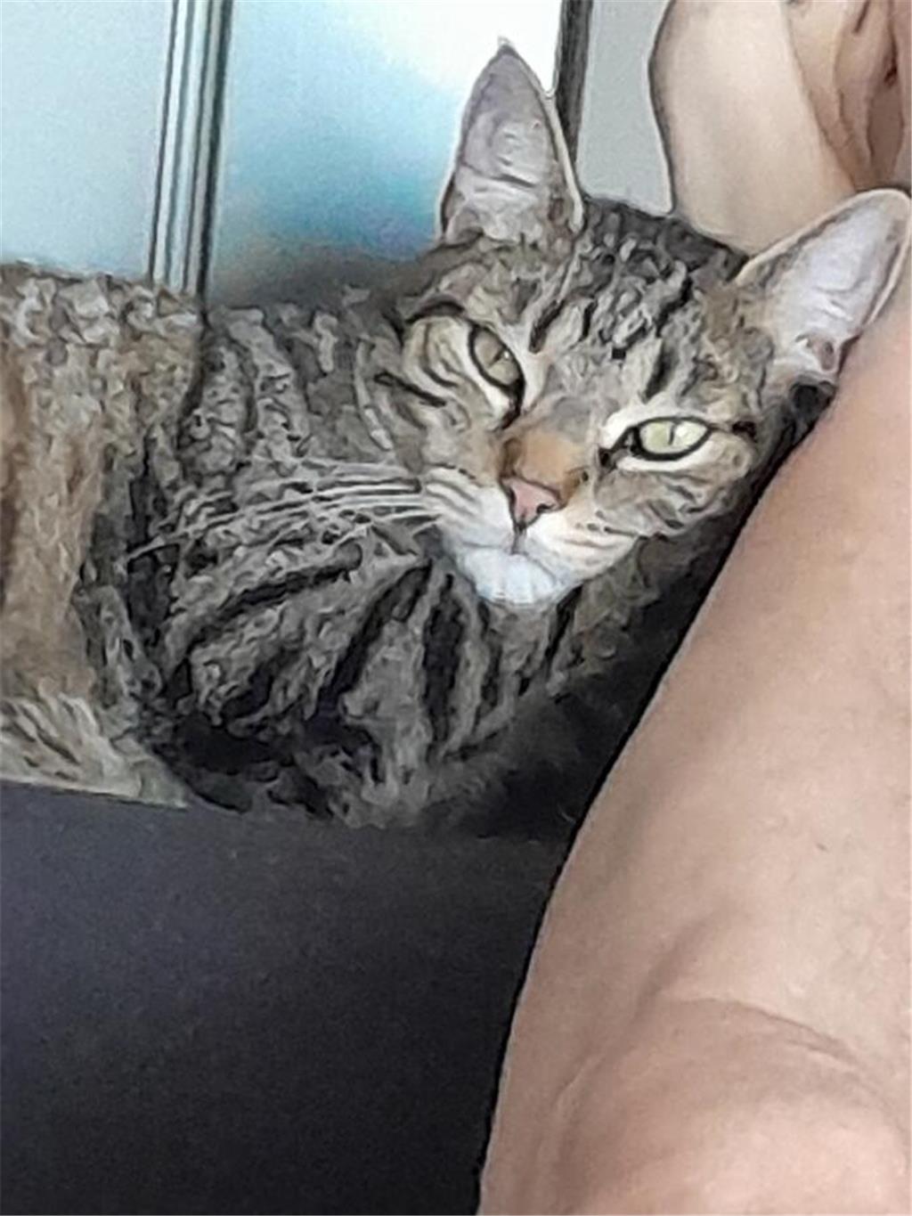 Sammy (5) chillt mit seinem Herrchen in Horneburg.