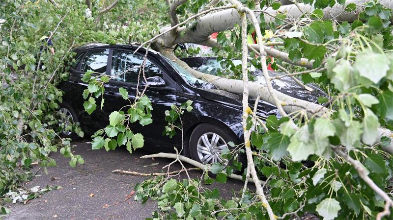 Schaden entstanden auch durch umgestürzte Bäume, die auf Autos fielen.