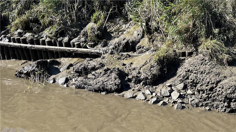 Schäden an der Uferbefestigung, in diesem Fall tragen die Nutrias keine Schuld. Die Bundeswasserstraße wird mangelhaft unterhalten.