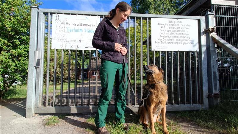 Wenn 46 Bewohner auf Futter warten: Mit Tempo durchs Stader Tierheim Schäferhund Loui ist seit vier Jahren im Tierheim, zu Julia Weber hat er viel Vertrauen.
