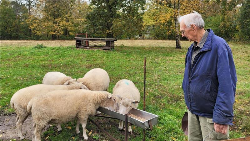 Wolf reißt Schafe und Lamm: Tierhalter im Stader Nachbarkreis geschockt Schafzüchter aus Leidenschaft: Seit 55 Jahren hält Gerhard Carstens im Nebenerwerb alte Schafrassen.